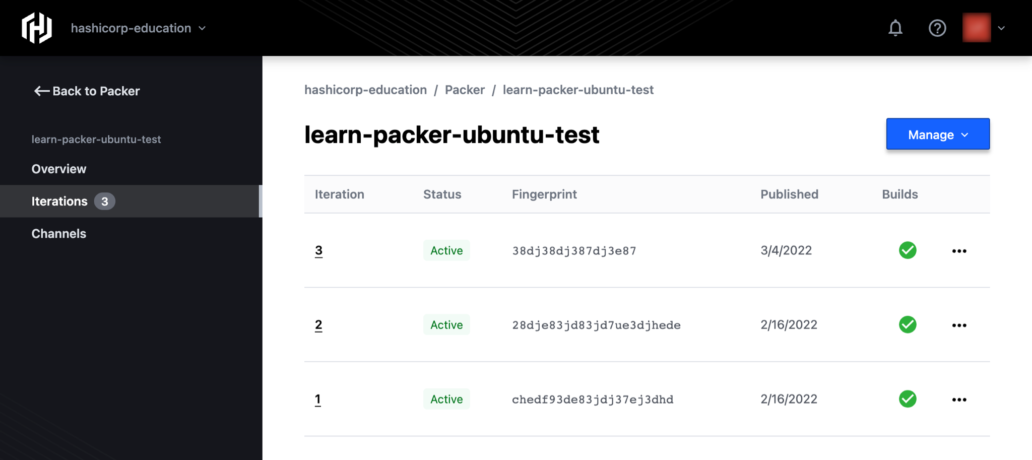 Example of iterations on the HCP Packer registry